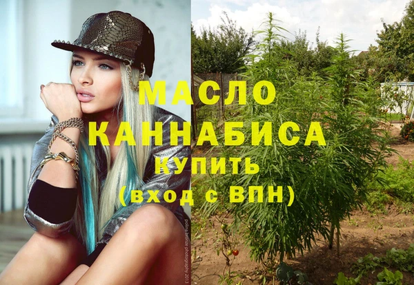 не бодяженный Новодвинск