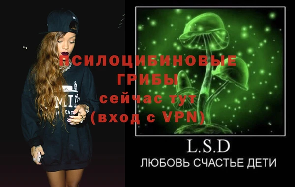 не бодяженный Новодвинск