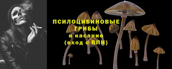 не бодяженный Новодвинск