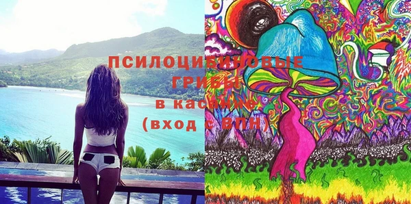не бодяженный Новодвинск