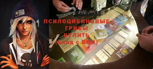 не бодяженный Новодвинск