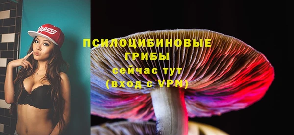 МДМА Новозыбков