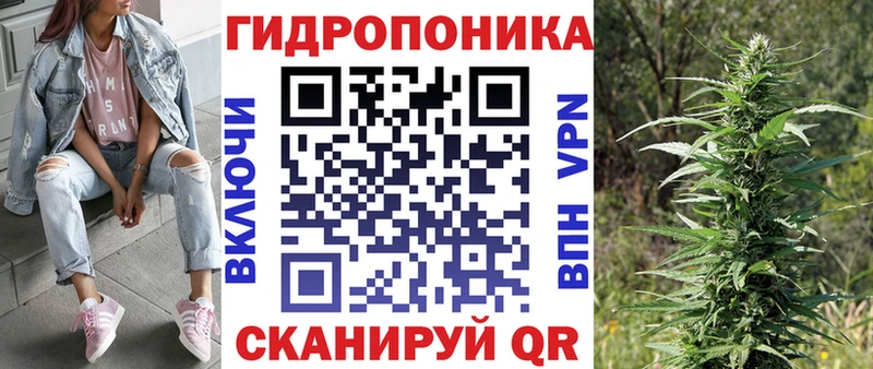 Канабис планчик Купить где Куса